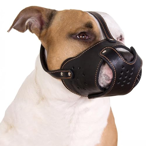 CollarDirect Hunde-Maulkorb Pitbull Amstaff aus echtem Leder, Staffordshire Terrier (Schwarz) CollarDirect Hunde-Maulkorb Pitbull Amstaff aus echtem Leder, Staffordshire Terrier (Schwarz) von CollarDirect