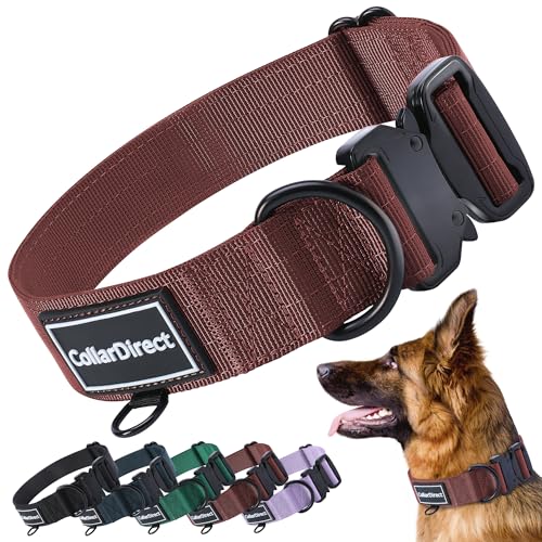 CollarDirect Hochwertiges, strapazierfähiges Nylon-Halsband, taktisches Halsband für Hunde, groß, mittelgroß, klein, Welpen, 4 Farben, Grün, Schwarz, Rot, Lila, verstellbare Länge, langlebig CollarDirect Hochwertiges, strapazierfähiges Nylon-Halsband, taktisches Halsband für Hunde, groß, mittelgroß, klein, Welpen, 4 Farben, Grün, Schwarz, Rot, Lila, verstellbare Länge, langlebig von CollarDirect