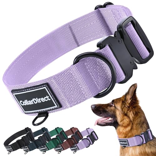 Robustes Hundehalsband für Große & Mittelgroße Hunde – Verstellbar, Doppellagiges Nylon, Metallschnalle, Reißfest & Ideal für Aktive Hunde (Flieder, Mittel (36-51 cm)) Robustes Hundehalsband für Große & Mittelgroße Hunde – Verstellbar, Doppellagiges Nylon, Metallschnalle, Reißfest & Ideal für Aktive Hunde (Flieder, Mittel (36-51 cm)) von CollarDirect