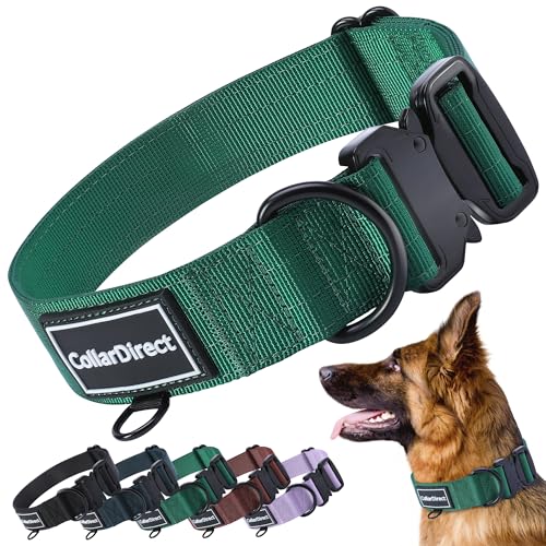 Robustes Hundehalsband für Große & Mittelgroße Hunde – Verstellbar, Doppellagiges Nylon, Metallschnalle, Reißfest & Ideal für Aktive Hunde (Grün, Klein (28-38 cm)) Robustes Hundehalsband für Große & Mittelgroße Hunde – Verstellbar, Doppellagiges Nylon, Metallschnalle, Reißfest & Ideal für Aktive Hunde (Grün, Klein (28-38 cm)) von CollarDirect