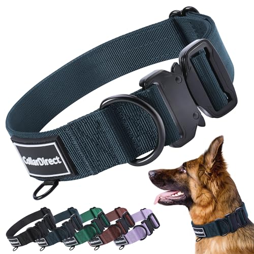 CollarDirect Hochwertiges, strapazierfähiges Nylon-Halsband, taktisches Halsband für Hunde, groß, mittelgroß, klein, Welpen, 4 Farben, Grün, Schwarz, Rot, Lila, verstellbare Länge, langlebig CollarDirect Hochwertiges, strapazierfähiges Nylon-Halsband, taktisches Halsband für Hunde, groß, mittelgroß, klein, Welpen, 4 Farben, Grün, Schwarz, Rot, Lila, verstellbare Länge, langlebig von CollarDirect