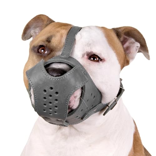 CollarDirect Hunde-Maulkorb Pitbull Amstaff aus echtem Leder, Staffordshire Terrier (Grau) von CollarDirect