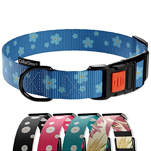 CollarDirect Hundehalsband mit Blumenmuster, Nylon, Blumendruck, verstellbar, für Hunde, kleine, mittelgroße und große Welpen (Blaue Gänseblümchen, 45-66 cm) von CollarDirect