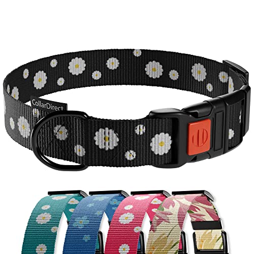 CollarDirect Hundehalsband mit Blumenmuster, Nylon, Blumendruck, verstellbar, für Hunde, kleine, mittelgroße und große Welpen (Schwarze Gänseblümchen, 45-66 cm) von CollarDirect