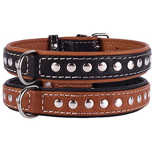 CollarDirect Hundehalsband mit Nieten, Leder, für kleine und mittelgroße Welpen, weich gepolstert, Braun/Schwarz (Schwarz, 28-33 cm) von CollarDirect