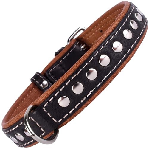 CollarDirect Hundehalsband mit Nieten, Leder, für kleine und mittelgroße Welpen, weich gepolstert, Braun/Schwarz (Schwarz, 58-63 cm) von CollarDirect