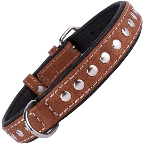 CollarDirect Hundehalsband mit Nieten, Leder, für kleine und mittelgroße Welpen, weich gepolstert, Braun / Schwarz (Braun, Halsumfang 33-35,6 cm) von CollarDirect