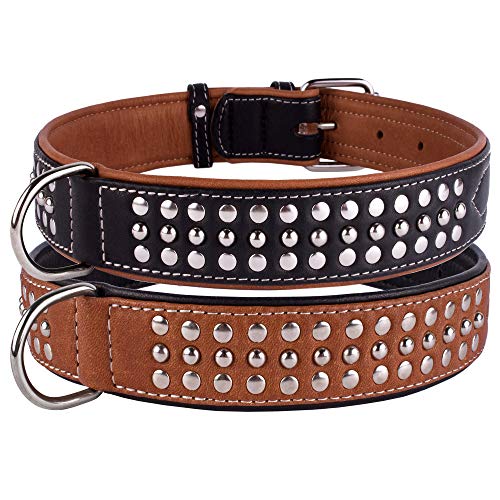 CollarDirect Hundehalsband mit Nieten, Leder, für kleine und mittelgroße Welpen, weich gepolstert, Braun/Schwarz (Braun, 58-63 cm) von CollarDirect