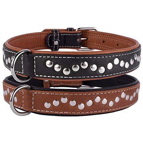 CollarDirect Hundehalsband mit Nieten, Leder, für kleine und mittelgroße Welpen, weich gepolstert, Braun/Schwarz (Schwarz, 43-48 cm) von CollarDirect