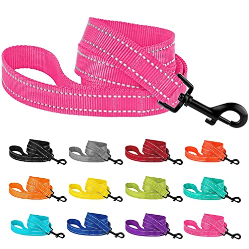 CollarDirect Hundeleine aus Nylon, 1,5 m, für tägliches Spazierengehen, Laufen, Training, strapazierfähig, reflektierend, für große, mittelgroße und kleine Hunde CollarDirect Hundeleine aus Nylon, 1,5 m, für tägliches Spazierengehen, Laufen, Training, strapazierfähig, reflektierend, für große, mittelgroße und kleine Hunde von CollarDirect