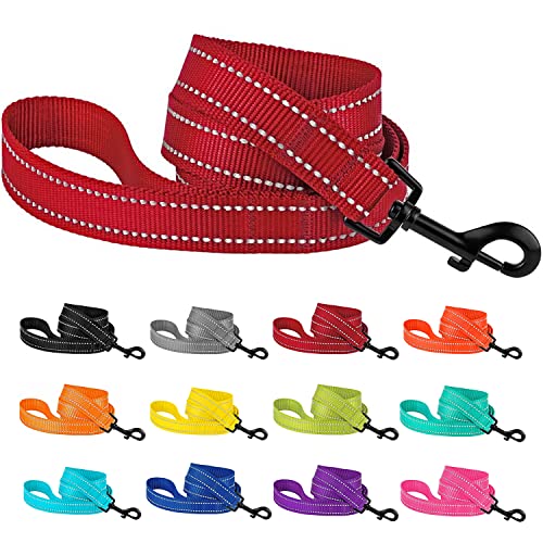 CollarDirect Hundeleine aus Nylon, 1,5 m, für tägliches Spazierengehen, Laufen, Training, strapazierfähig, reflektierend, für große, mittelgroße und kleine Hunde CollarDirect Hundeleine aus Nylon, 1,5 m, für tägliches Spazierengehen, Laufen, Training, strapazierfähig, reflektierend, für große, mittelgroße und kleine Hunde von CollarDirect
