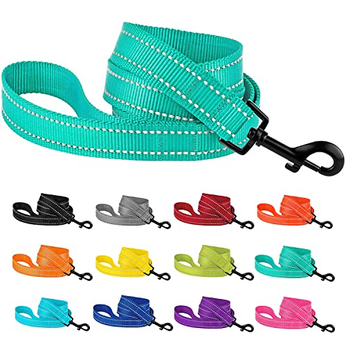 CollarDirect Hundeleine aus Nylon, 1,5 m, für tägliches Spazierengehen, Laufen, Training, strapazierfähig, reflektierend, für große, mittelgroße und kleine Hunde CollarDirect Hundeleine aus Nylon, 1,5 m, für tägliches Spazierengehen, Laufen, Training, strapazierfähig, reflektierend, für große, mittelgroße und kleine Hunde von CollarDirect