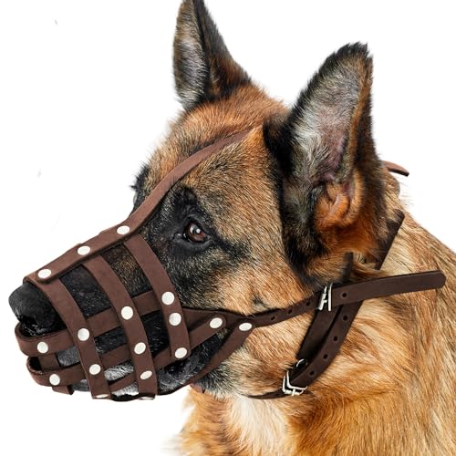 CollarDirect Maulkorb für Hunde, Deutscher Schäferhund, Dalmatiner, Dobermann, Setter, Lederkorb, mittelgroß, für große Rassen, Schwarzbraun (M, Kastanienbraun) von CollarDirect