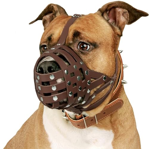 CollarDirect Pitbull Hundemaulkorb Leder Amstaff Maulkörbe Staffordshire Terrier Sicherer Korb (Braun) CollarDirect Pitbull Hundemaulkorb Leder Amstaff Maulkörbe Staffordshire Terrier Sicherer Korb (Braun) von CollarDirect