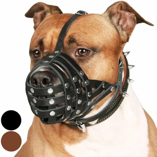 CollarDirect Pitbull Hundemaulkorb Leder Amstaff Maulkörbe Staffordshire Terrier Sicherer Korb (Schwarz) CollarDirect Pitbull Hundemaulkorb Leder Amstaff Maulkörbe Staffordshire Terrier Sicherer Korb (Schwarz) von CollarDirect