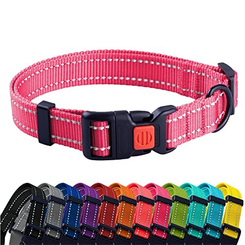 CollarDirect Kleines Hundehalsband mit Metallschnalle, Nylon, reflektierend, Welpenhalsband, verstellbar, 8 Farben (Halsumfang 17,8 - 27,9 cm, Rosa) von CollarDirect