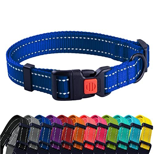 CollarDirect Kleines Hundehalsband mit Metallschnalle, Nylon, reflektierend, Welpenhalsband, verstellbar, 8 Farben (Halsumfang 17,8 - 27,9 cm, blau) von CollarDirect
