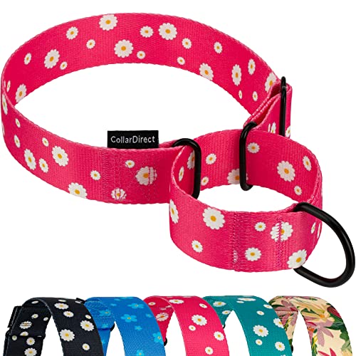 CollarDirect Martingale Halsbänder für Hunde, strapazierfähig, Blumenmuster, weiblich, Sicherheit, Nylon, Training, breites Halsband, Blumendesign, Größe L, Halsumfang 38,1 cm - 50,8 cm, Rosa von CollarDirect