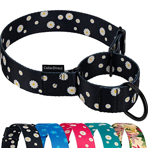 CollarDirect Martingale Halsbänder für Hunde, strapazierfähig, Blumenmuster, weiblich, Sicherheit, Nylon, Training, breites Halsband, Blumendesign (Schwarz Gänseblümchen, 38-50 cm) CollarDirect Martingale Halsbänder für Hunde, strapazierfähig, Blumenmuster, weiblich, Sicherheit, Nylon, Training, breites Halsband, Blumendesign (Schwarz Gänseblümchen, 38-50 cm) von CollarDirect