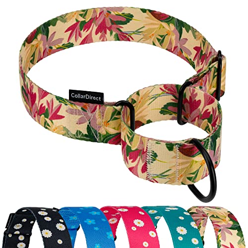 CollarDirect Martingale Halsbänder für Hunde, strapazierfähig, Blumenmuster, weiblich, Sicherheit, Nylon, Training, breites Halsband, Blumendesign, Größe L, Halsumfang 38,1 cm - 50,8 cm, Toffee) von CollarDirect