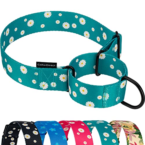 CollarDirect Martingale Halsbänder für Hunde, strapazierfähig, Blumenmuster, weiblich, Sicherheit, Nylon, Training, breites Halsband, Blumendesign, Größe L, M, (XL, Halsumfang 48,3 cm 61 cm, von CollarDirect