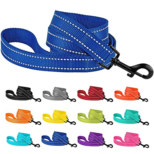 CollarDirect Nylon Dog Leash 5ft for Daily Outdoor Walking Running Training Heavy Duty Reflective Pet Leashes for Large, Medium & Small Dogs (S, Blue) von CollarDirect