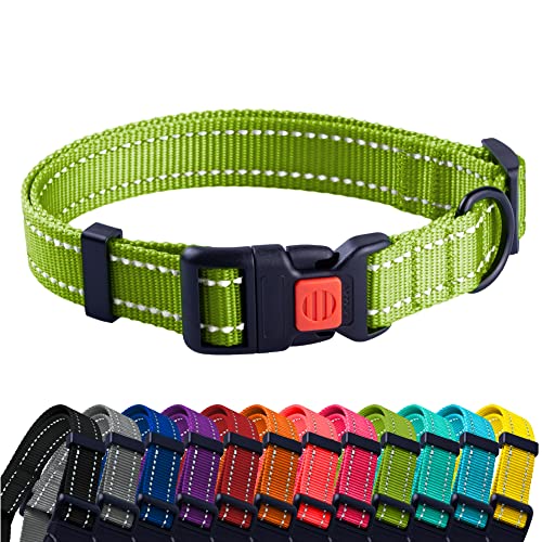 CollarDirect Reflektierendes Hundehalsband für kleinen, mittelgroßen, großen Hund, Welpen mit Schnellverschluss, Hündin, Rüde, 48 Sorten, Nylon Wasserfest CollarDirect Reflektierendes Hundehalsband für kleinen, mittelgroßen, großen Hund, Welpen mit Schnellverschluss, Hündin, Rüde, 48 Sorten, Nylon Wasserfest von CollarDirect
