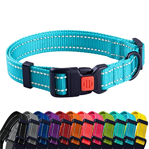 CollarDirect Reflektierendes Hundehalsband für kleinen, mittelgroßen, großen Hund, Welpen mit Schnellverschluss, Hündin, Rüde, 48 Sorten, Nylon Wasserfest CollarDirect Reflektierendes Hundehalsband für kleinen, mittelgroßen, großen Hund, Welpen mit Schnellverschluss, Hündin, Rüde, 48 Sorten, Nylon Wasserfest von CollarDirect