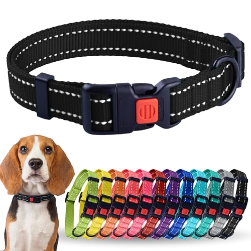 CollarDirect Reflektierendes Hundehalsband für kleinen, mittelgroßen, großen Hund, Welpen mit Schnellverschluss, Hündin, Rüde, 48 Sorten, Nylon Wasserfest von CollarDirect