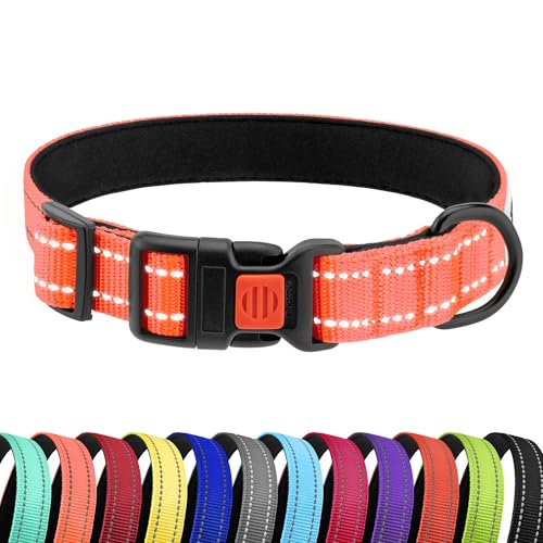 CollarDirect Reflektierendes Hundehalsband für kleinen, mittelgroßen, großen Hund, Welpen mit Schnellverschluss, Hündin, Rüde, 48 Sorten, Nylon Wasserfest CollarDirect Reflektierendes Hundehalsband für kleinen, mittelgroßen, großen Hund, Welpen mit Schnellverschluss, Hündin, Rüde, 48 Sorten, Nylon Wasserfest von CollarDirect