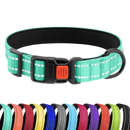 CollarDirect Reflektierendes Hundehalsband für kleinen, mittelgroßen, großen Hund, Welpen mit Schnellverschluss, Hündin, Rüde, 48 Sorten, Nylon Wasserfest CollarDirect Reflektierendes Hundehalsband für kleinen, mittelgroßen, großen Hund, Welpen mit Schnellverschluss, Hündin, Rüde, 48 Sorten, Nylon Wasserfest von CollarDirect