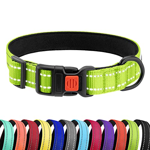 CollarDirect Reflektierendes Hundehalsband für kleinen, mittelgroßen, großen Hund, Welpen mit Schnellverschluss, Hündin, Rüde, 48 Sorten, Nylon Wasserfest CollarDirect Reflektierendes Hundehalsband für kleinen, mittelgroßen, großen Hund, Welpen mit Schnellverschluss, Hündin, Rüde, 48 Sorten, Nylon Wasserfest von CollarDirect