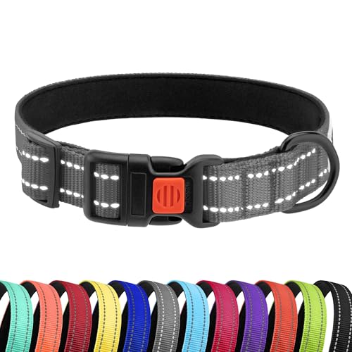 CollarDirect Reflektierendes Hundehalsband für kleinen, mittelgroßen, großen Hund, Welpen mit Schnellverschluss, Hündin, Rüde, 48 Sorten, Nylon Wasserfest CollarDirect Reflektierendes Hundehalsband für kleinen, mittelgroßen, großen Hund, Welpen mit Schnellverschluss, Hündin, Rüde, 48 Sorten, Nylon Wasserfest von CollarDirect