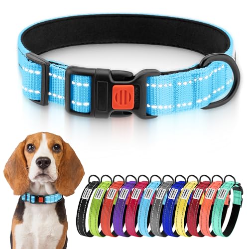 CollarDirect Reflektierendes Hundehalsband für kleinen, mittelgroßen, großen Hund, Welpen mit Schnellverschluss, Hündin, Rüde, 48 Sorten, Nylon Wasserfest CollarDirect Reflektierendes Hundehalsband für kleinen, mittelgroßen, großen Hund, Welpen mit Schnellverschluss, Hündin, Rüde, 48 Sorten, Nylon Wasserfest von CollarDirect