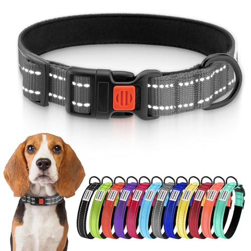 CollarDirect Reflektierendes Hundehalsband für kleinen, mittelgroßen, großen Hund, Welpen mit Schnellverschluss, Hündin, Rüde, 48 Sorten, Nylon Wasserfest von CollarDirect