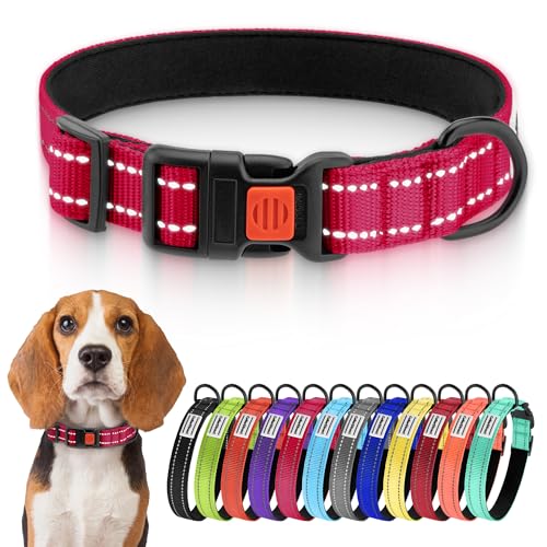 CollarDirect Reflektierendes Hundehalsband für kleinen, mittelgroßen, großen Hund, Welpen mit Schnellverschluss, Hündin, Rüde, 48 Sorten, Nylon Wasserfest von CollarDirect