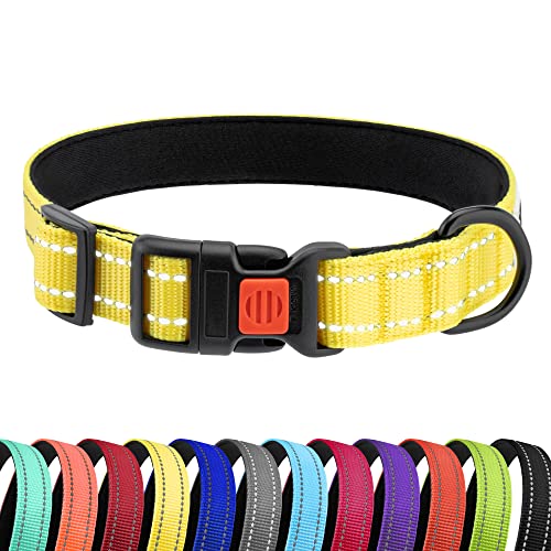 CollarDirect Reflektierendes Hundehalsband für kleinen, mittelgroßen, großen Hund, Welpen mit Schnellverschluss, Hündin, Rüde, 48 Sorten, Nylon Wasserfest CollarDirect Reflektierendes Hundehalsband für kleinen, mittelgroßen, großen Hund, Welpen mit Schnellverschluss, Hündin, Rüde, 48 Sorten, Nylon Wasserfest von CollarDirect