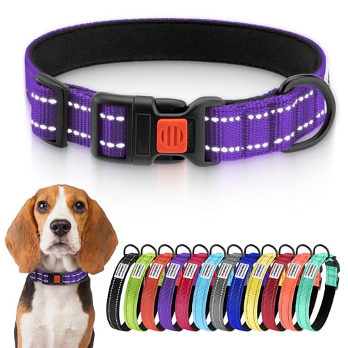 CollarDirect Reflektierendes Hundehalsband für kleinen, mittelgroßen, großen Hund, Welpen mit Schnellverschluss, Hündin, Rüde, 48 Sorten, Nylon Wasserfest von CollarDirect