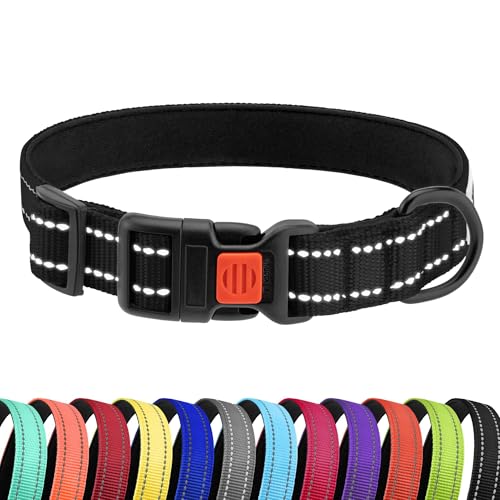 CollarDirect Reflektierendes Hundehalsband für kleinen, mittelgroßen, großen Hund, Welpen mit Schnellverschluss, Hündin, Rüde, 48 Sorten, Nylon Wasserfest CollarDirect Reflektierendes Hundehalsband für kleinen, mittelgroßen, großen Hund, Welpen mit Schnellverschluss, Hündin, Rüde, 48 Sorten, Nylon Wasserfest von CollarDirect