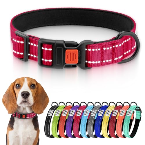 CollarDirect Reflektierendes Hundehalsband für kleinen, mittelgroßen, großen Hund, Welpen mit Schnellverschluss, Hündin, Rüde, 48 Sorten, Nylon Wasserfest CollarDirect Reflektierendes Hundehalsband für kleinen, mittelgroßen, großen Hund, Welpen mit Schnellverschluss, Hündin, Rüde, 48 Sorten, Nylon Wasserfest von CollarDirect