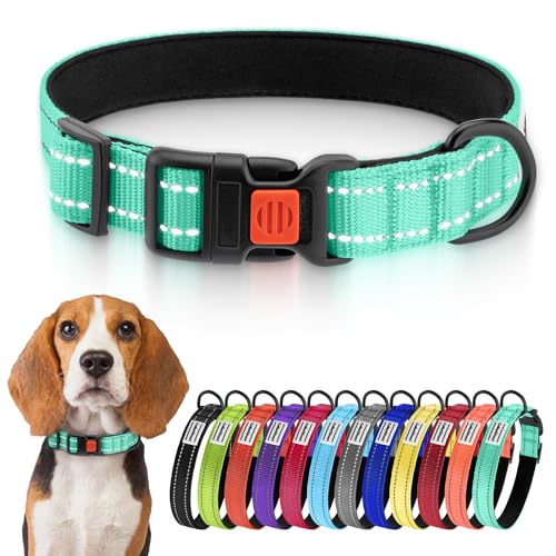 CollarDirect Reflektierendes Hundehalsband für kleinen, mittelgroßen, großen Hund, Welpen mit Schnellverschluss, Hündin, Rüde, 48 Sorten, Nylon Wasserfest CollarDirect Reflektierendes Hundehalsband für kleinen, mittelgroßen, großen Hund, Welpen mit Schnellverschluss, Hündin, Rüde, 48 Sorten, Nylon Wasserfest von CollarDirect