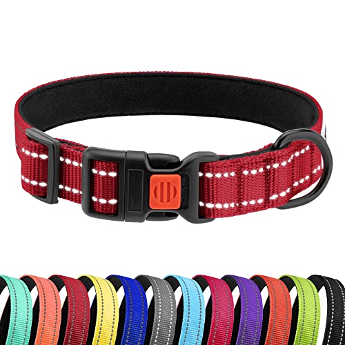 CollarDirect Reflektierendes Hundehalsband für kleinen, mittelgroßen, großen Hund, Welpen mit Schnellverschluss, Hündin, Rüde, 48 Sorten, Nylon Wasserfest CollarDirect Reflektierendes Hundehalsband für kleinen, mittelgroßen, großen Hund, Welpen mit Schnellverschluss, Hündin, Rüde, 48 Sorten, Nylon Wasserfest von CollarDirect