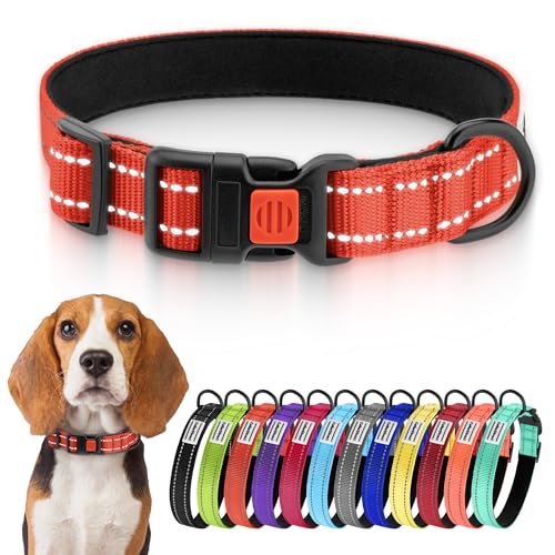 CollarDirect Reflektierendes Hundehalsband für kleinen, mittelgroßen, großen Hund, Welpen mit Schnellverschluss, Hündin, Rüde, 48 Sorten, Nylon Wasserfest CollarDirect Reflektierendes Hundehalsband für kleinen, mittelgroßen, großen Hund, Welpen mit Schnellverschluss, Hündin, Rüde, 48 Sorten, Nylon Wasserfest von CollarDirect