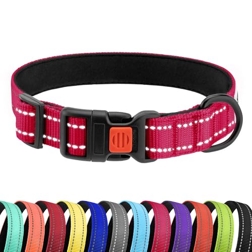 CollarDirect Reflektierendes Hundehalsband für kleinen, mittelgroßen, großen Hund, Welpen mit Schnellverschluss, Hündin, Rüde, 48 Sorten, Nylon Wasserfest CollarDirect Reflektierendes Hundehalsband für kleinen, mittelgroßen, großen Hund, Welpen mit Schnellverschluss, Hündin, Rüde, 48 Sorten, Nylon Wasserfest von CollarDirect