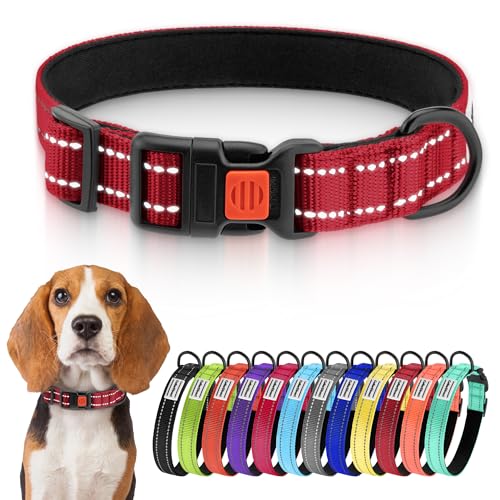 CollarDirect Reflektierendes Hundehalsband für kleinen, mittelgroßen, großen Hund, Welpen mit Schnellverschluss, Hündin, Rüde, 48 Sorten, Nylon Wasserfest CollarDirect Reflektierendes Hundehalsband für kleinen, mittelgroßen, großen Hund, Welpen mit Schnellverschluss, Hündin, Rüde, 48 Sorten, Nylon Wasserfest von CollarDirect