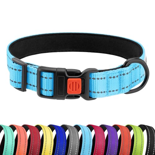 CollarDirect Reflektierendes Hundehalsband für kleinen, mittelgroßen, großen Hund, Welpen mit Schnellverschluss, Hündin, Rüde, 48 Sorten, Nylon Wasserfest CollarDirect Reflektierendes Hundehalsband für kleinen, mittelgroßen, großen Hund, Welpen mit Schnellverschluss, Hündin, Rüde, 48 Sorten, Nylon Wasserfest von CollarDirect