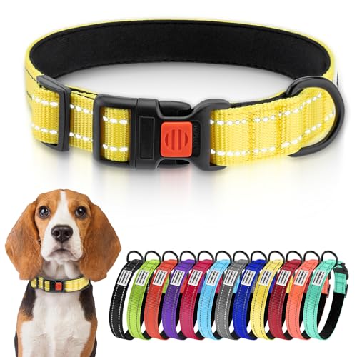 CollarDirect Reflektierendes Hundehalsband für kleinen, mittelgroßen, großen Hund, Welpen mit Schnellverschluss, Hündin, Rüde, 48 Sorten, Nylon Wasserfest von CollarDirect