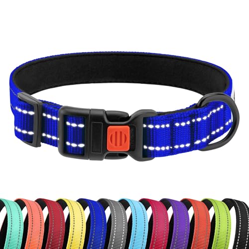 CollarDirect Reflektierendes Hundehalsband für kleinen, mittelgroßen, großen Hund, Welpen mit Schnellverschluss, Hündin, Rüde, 48 Sorten, Nylon Wasserfest CollarDirect Reflektierendes Hundehalsband für kleinen, mittelgroßen, großen Hund, Welpen mit Schnellverschluss, Hündin, Rüde, 48 Sorten, Nylon Wasserfest von CollarDirect