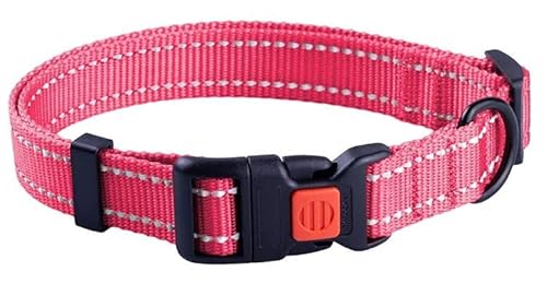CollarDirect Reflektierendes Hundehalsband für kleinen, mittelgroßen, großen Hund, Welpen mit Schnellverschluss, Hündin, Rüde, 48 Sorten, Nylon Wasserfest CollarDirect Reflektierendes Hundehalsband für kleinen, mittelgroßen, großen Hund, Welpen mit Schnellverschluss, Hündin, Rüde, 48 Sorten, Nylon Wasserfest von CollarDirect