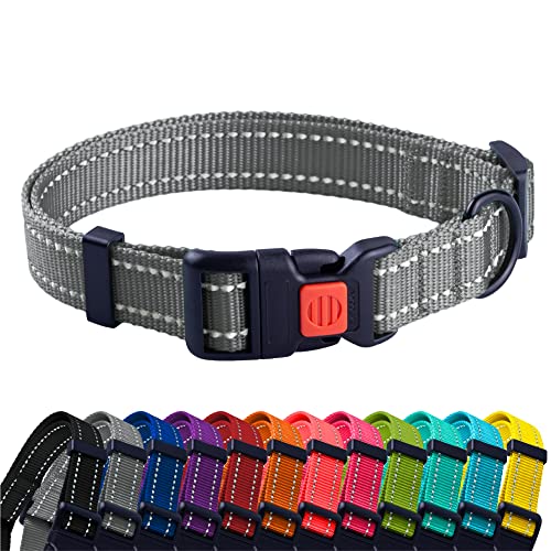 CollarDirect Reflektierendes Hundehalsband für kleinen, mittelgroßen, großen Hund, Welpen mit Schnellverschluss, Hündin, Rüde, 48 Sorten, Nylon Wasserfest CollarDirect Reflektierendes Hundehalsband für kleinen, mittelgroßen, großen Hund, Welpen mit Schnellverschluss, Hündin, Rüde, 48 Sorten, Nylon Wasserfest von CollarDirect